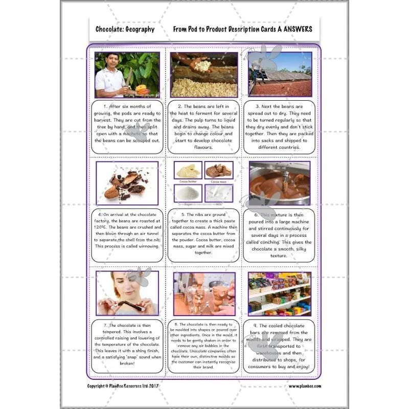 Chocolate Topic