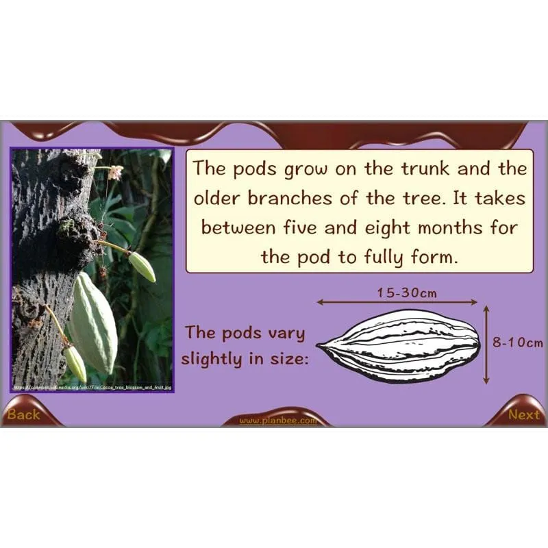Chocolate Topic
