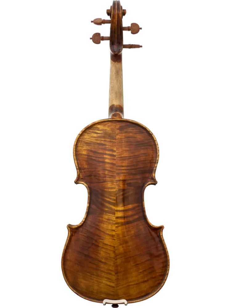 Maple Leaf Strings - Chaconne 7/8th Cello (MLS500C)