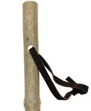 Mountain Ash Hiking Staff - Durable Ash Wood