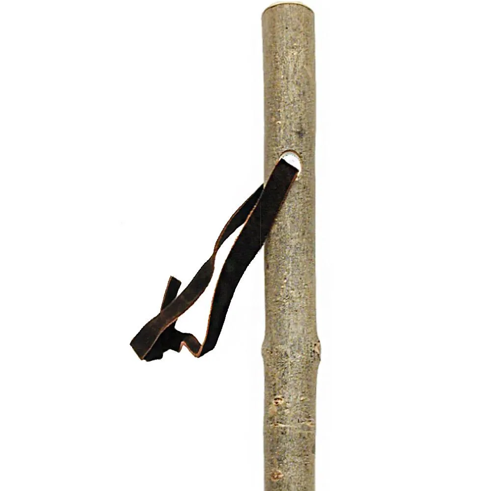 Mountain Ash Hiking Staff - Durable Ash Wood