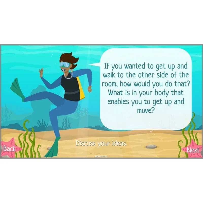 Under the Sea Topic