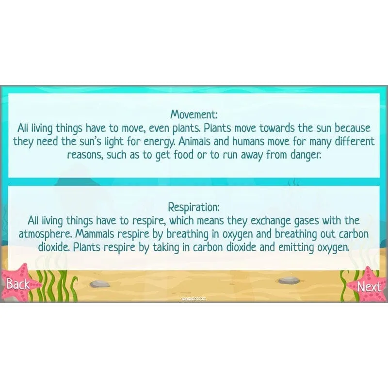 Under the Sea Topic