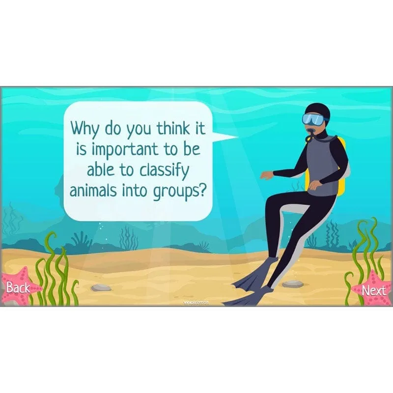 Under the Sea Topic