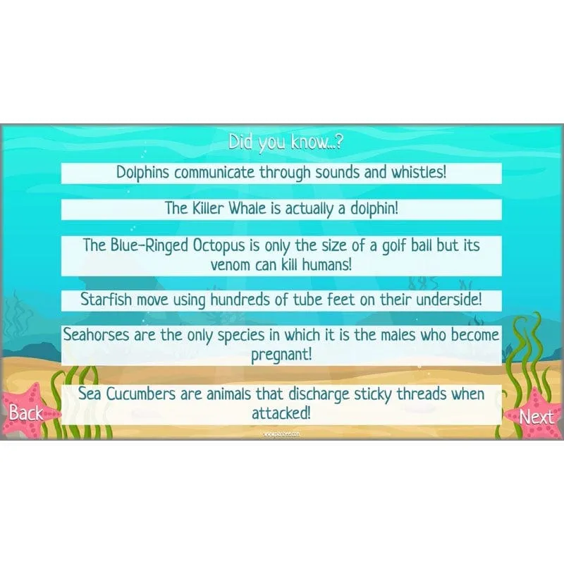 Under the Sea Topic