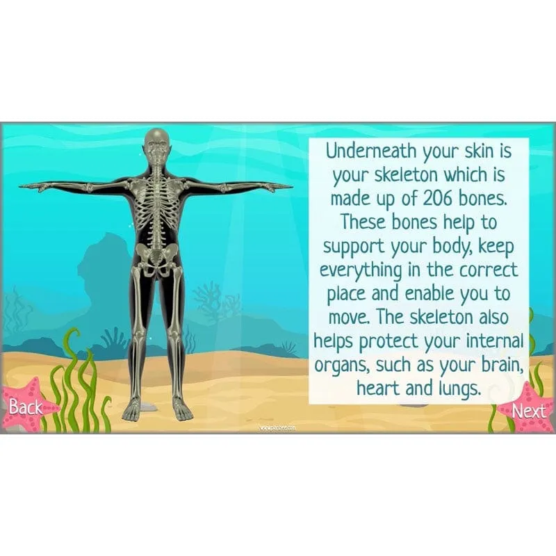Under the Sea Topic