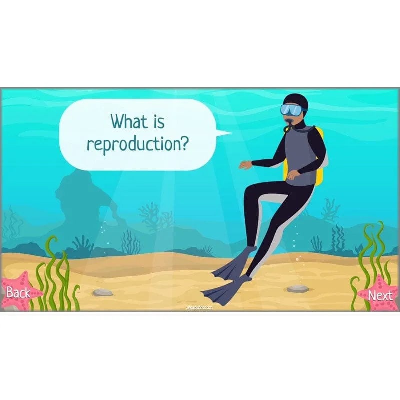 Under the Sea Topic