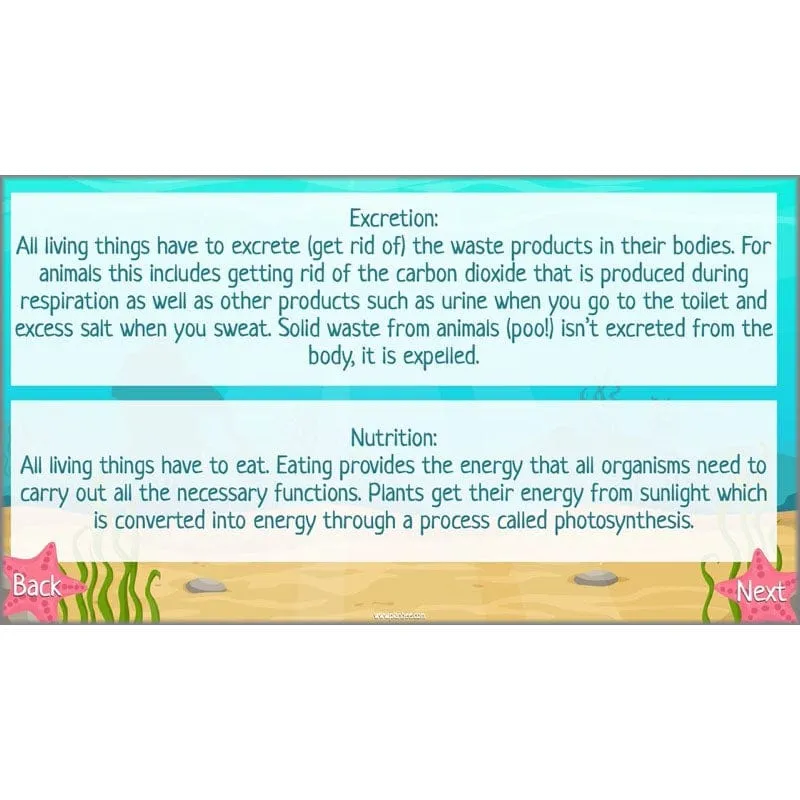 Under the Sea Topic