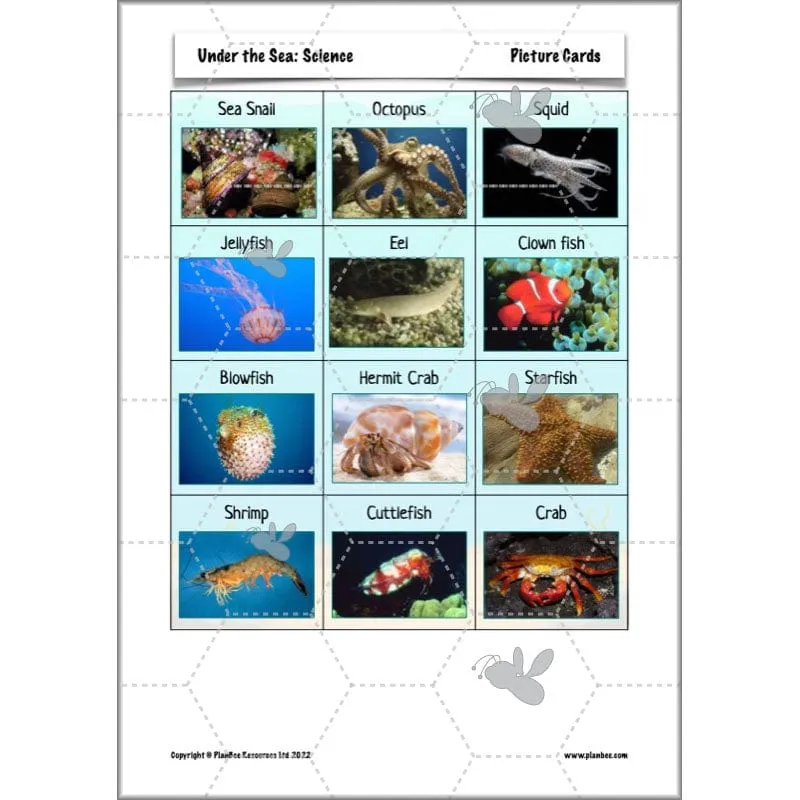 Under the Sea Topic
