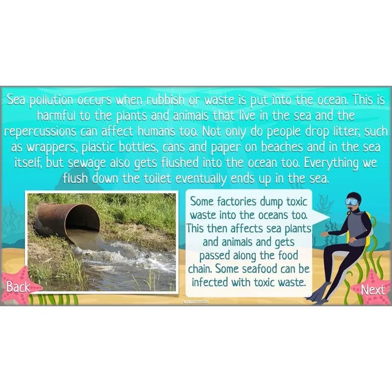 Under the Sea Topic