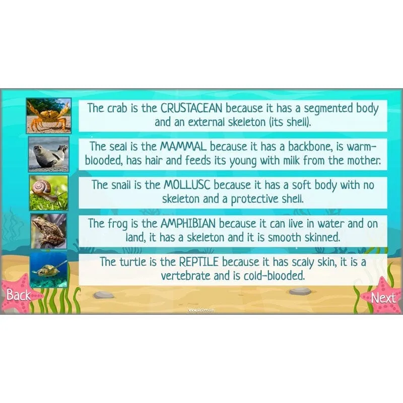 Under the Sea Topic