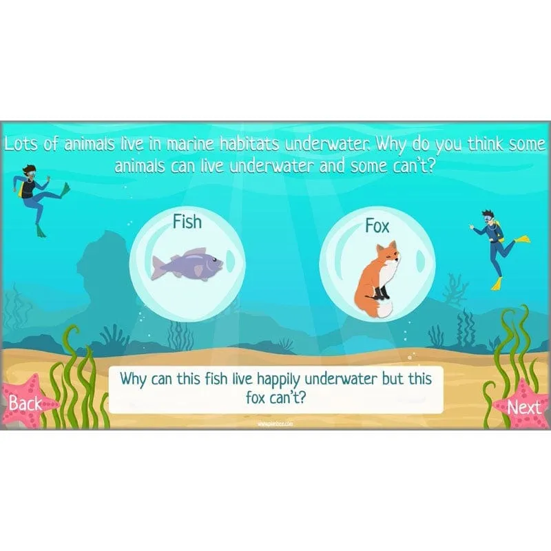 Under the Sea Topic