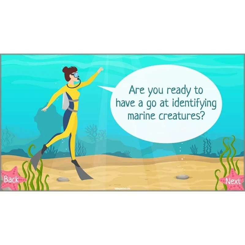 Under the Sea Topic