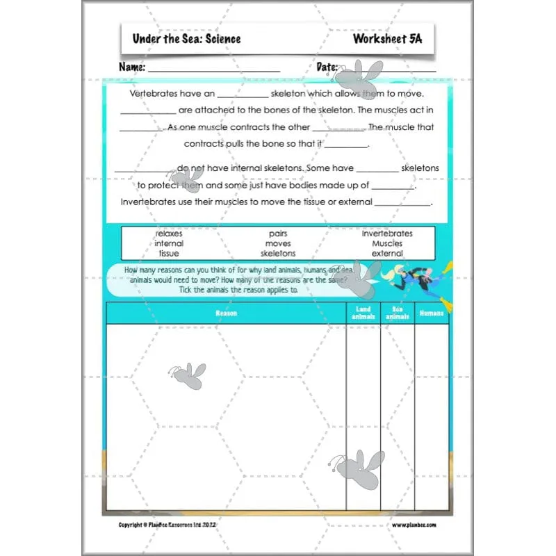 Under the Sea Topic