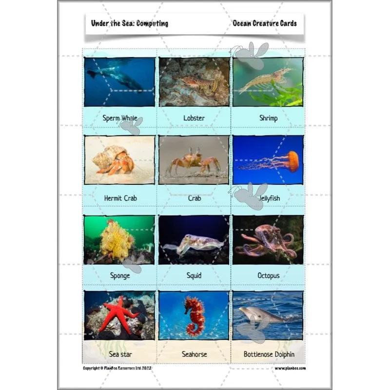 Under the Sea Topic