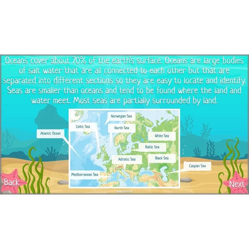Under the Sea Topic