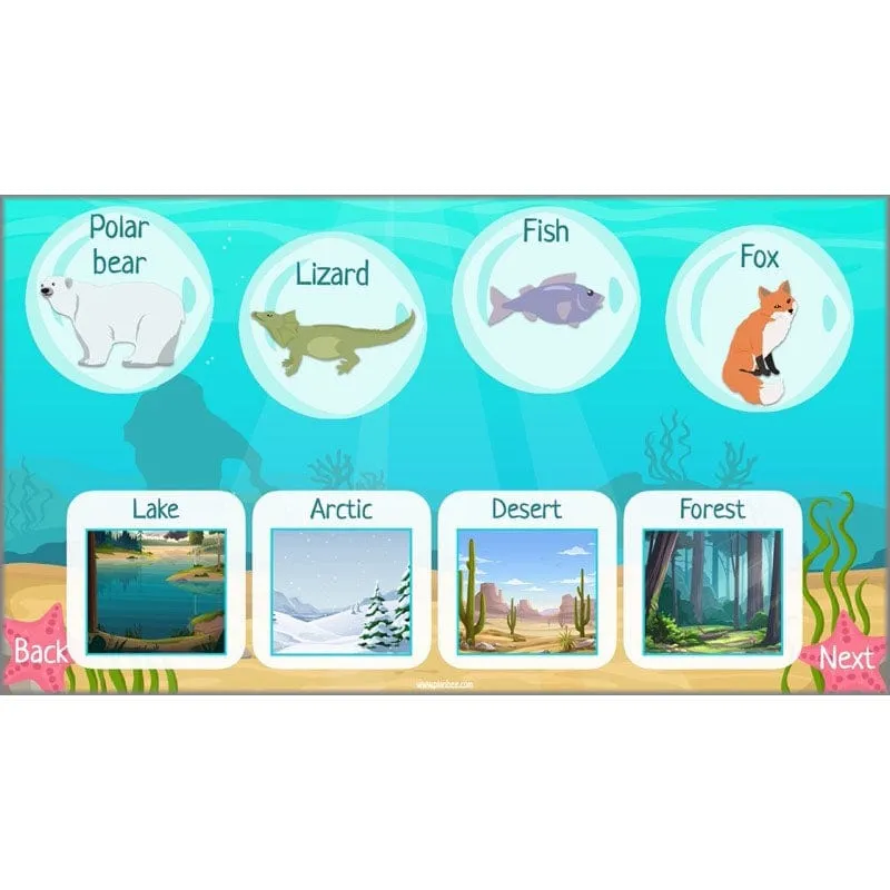 Under the Sea Topic