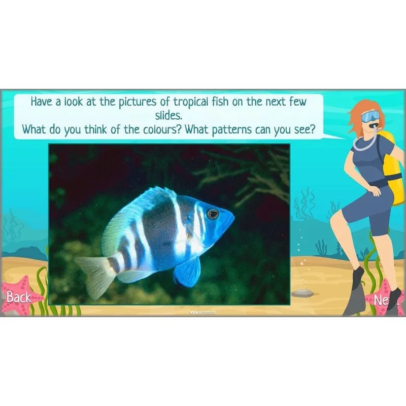 Under the Sea Topic