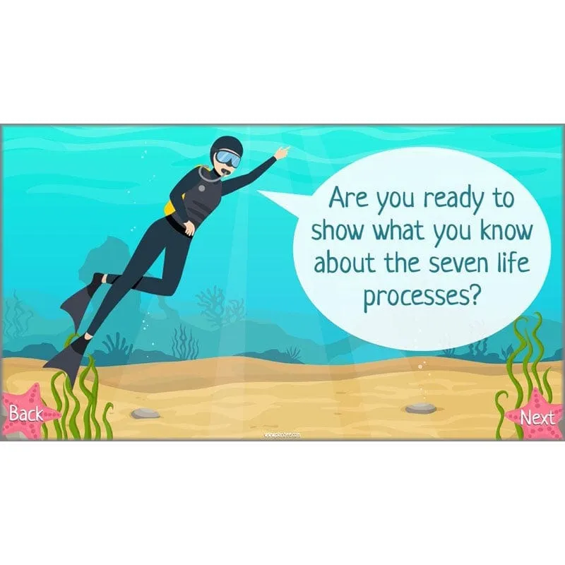 Under the Sea Topic