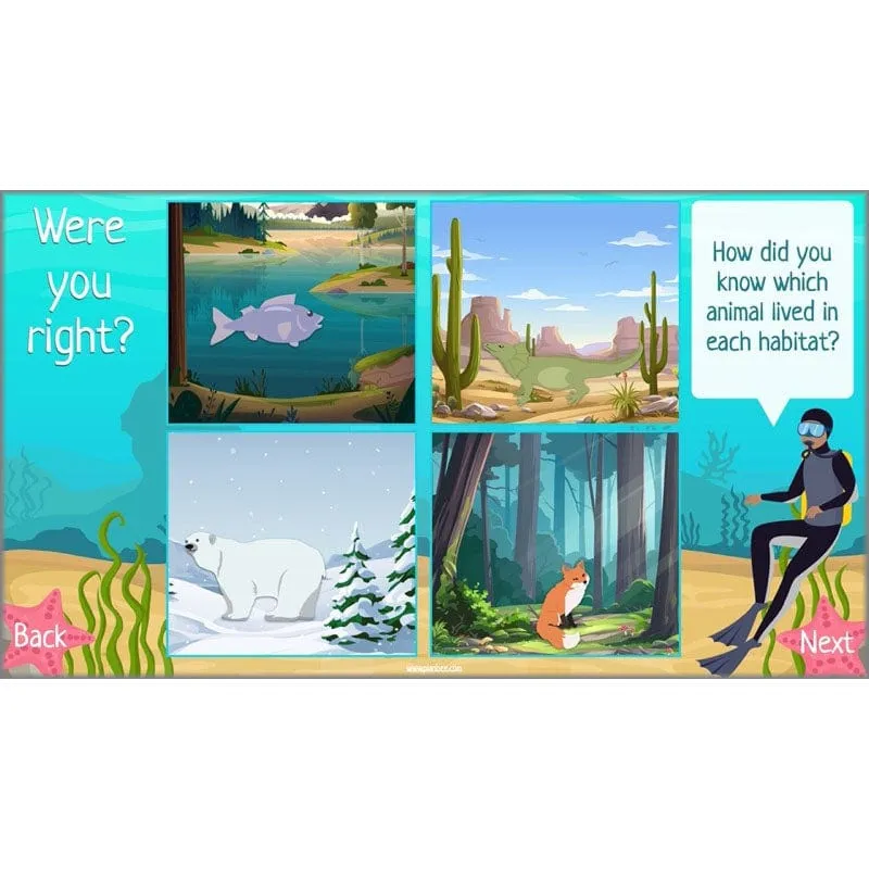 Under the Sea Topic