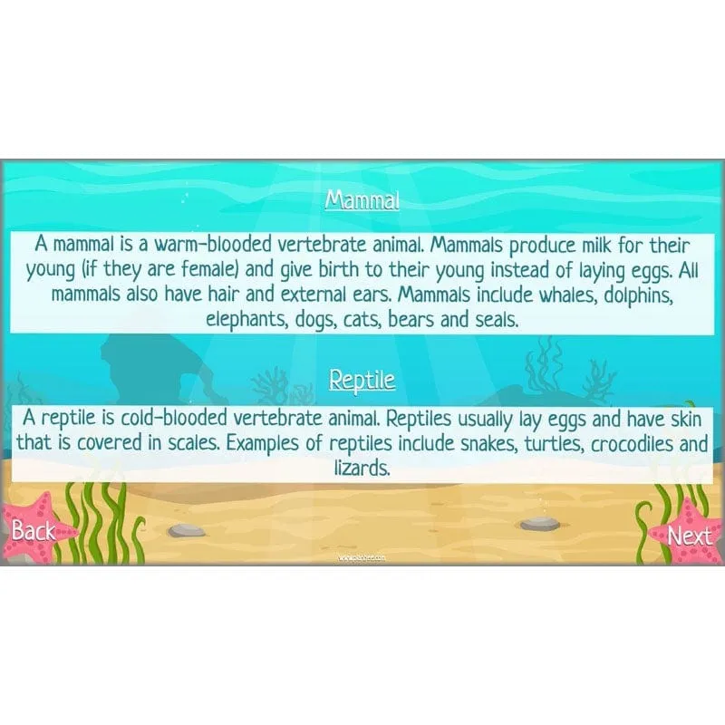 Under the Sea Topic