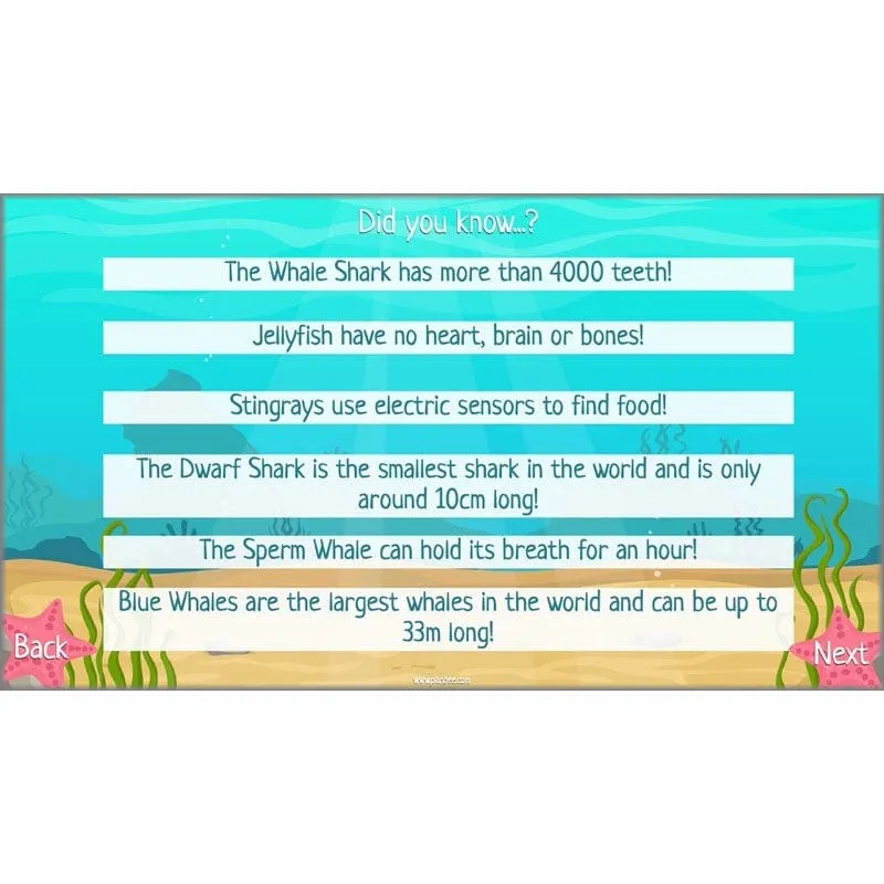Under the Sea Topic