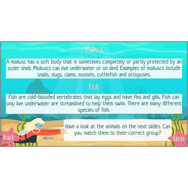 Under the Sea Topic