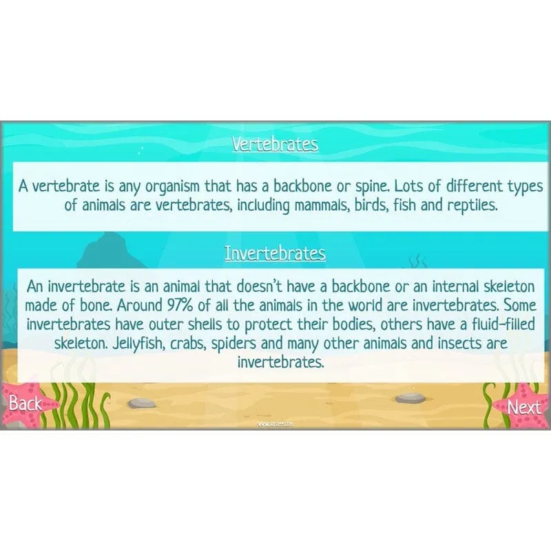 Under the Sea Topic
