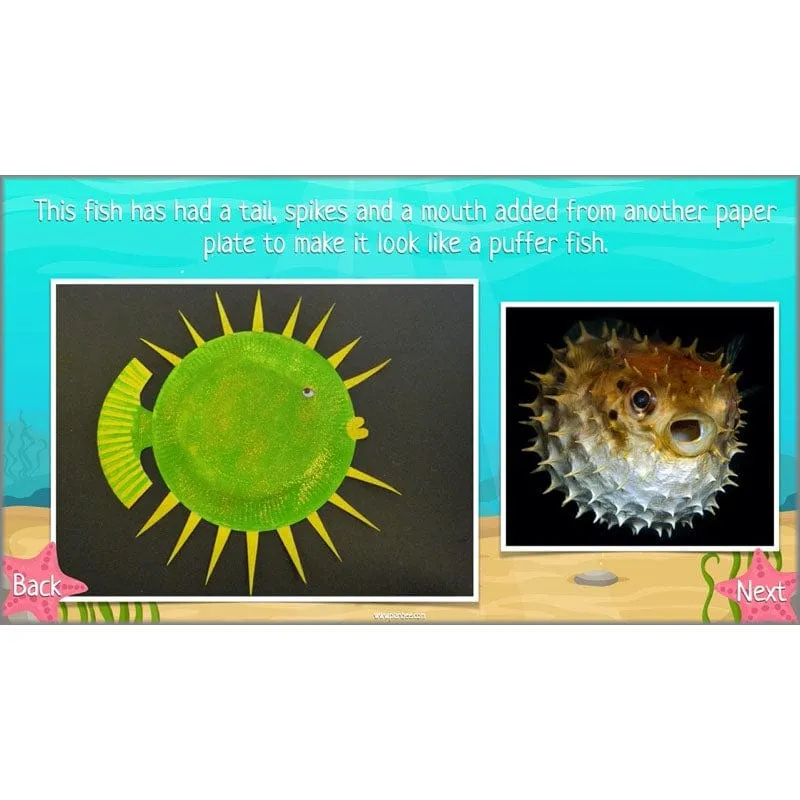 Under the Sea Topic