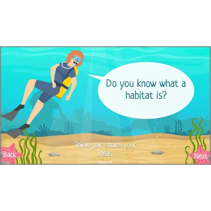 Under the Sea Topic