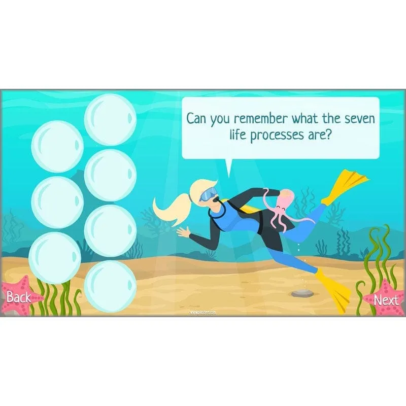 Under the Sea Topic