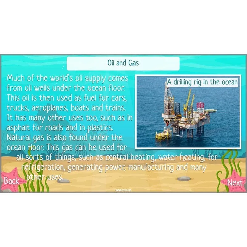 Under the Sea Topic
