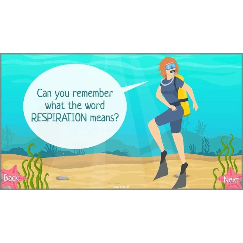 Under the Sea Topic