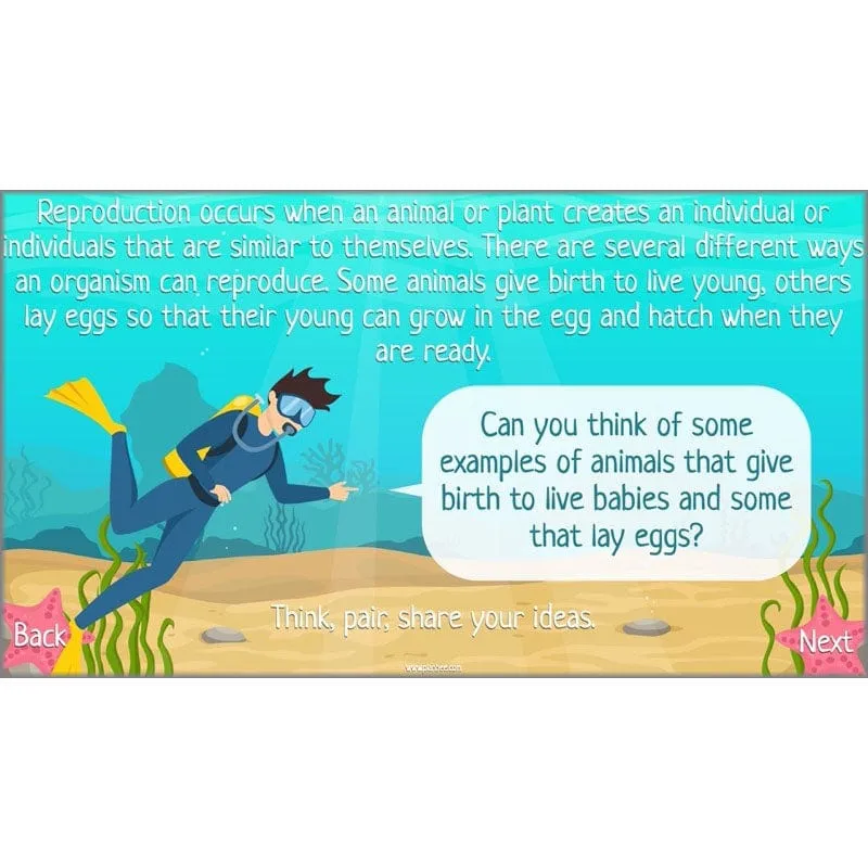 Under the Sea Topic