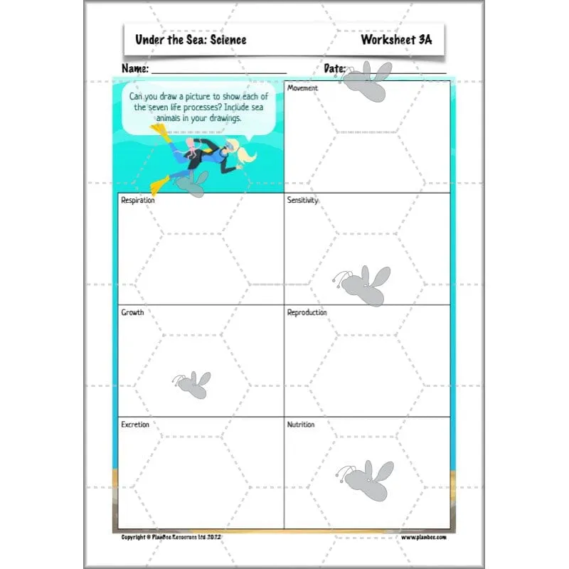 Under the Sea Topic