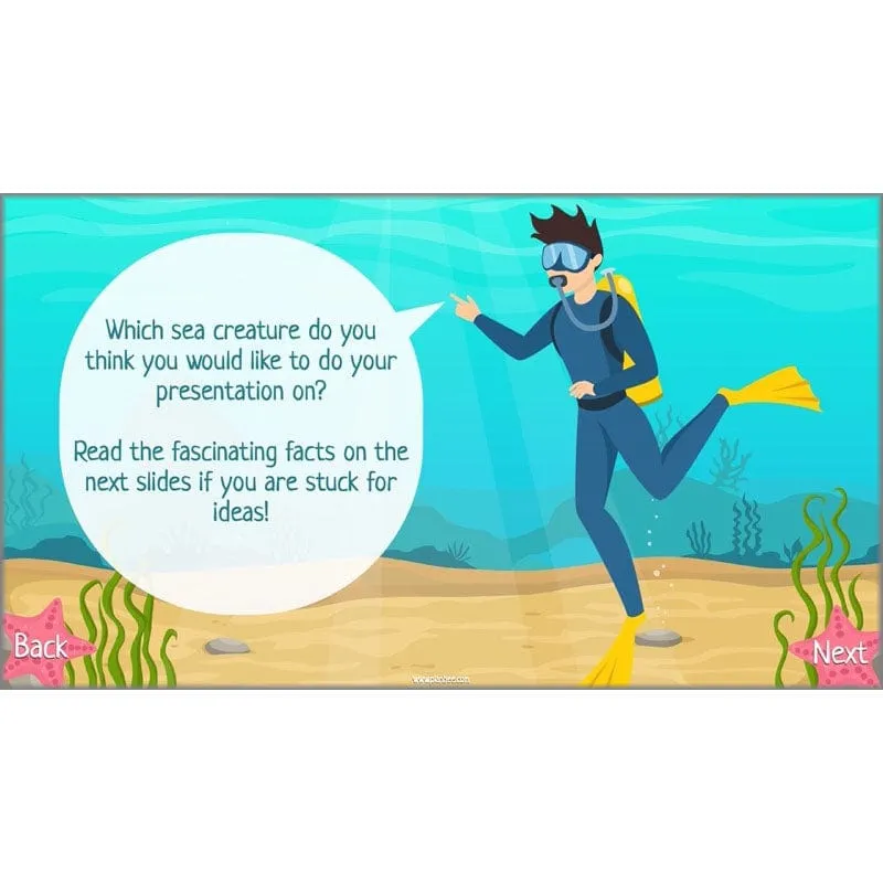 Under the Sea Topic