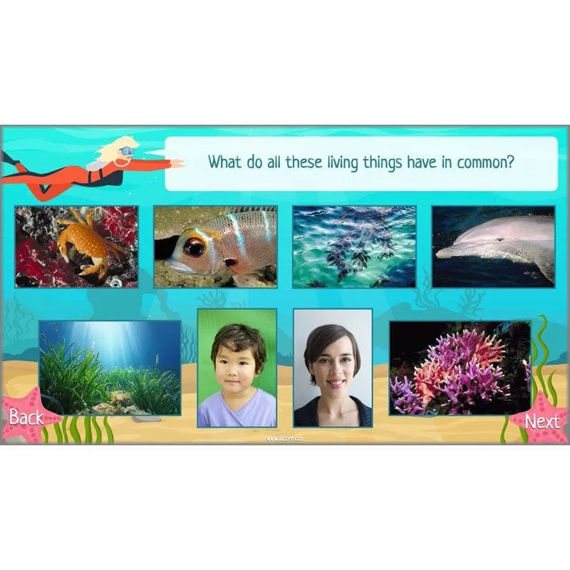 Under the Sea Topic