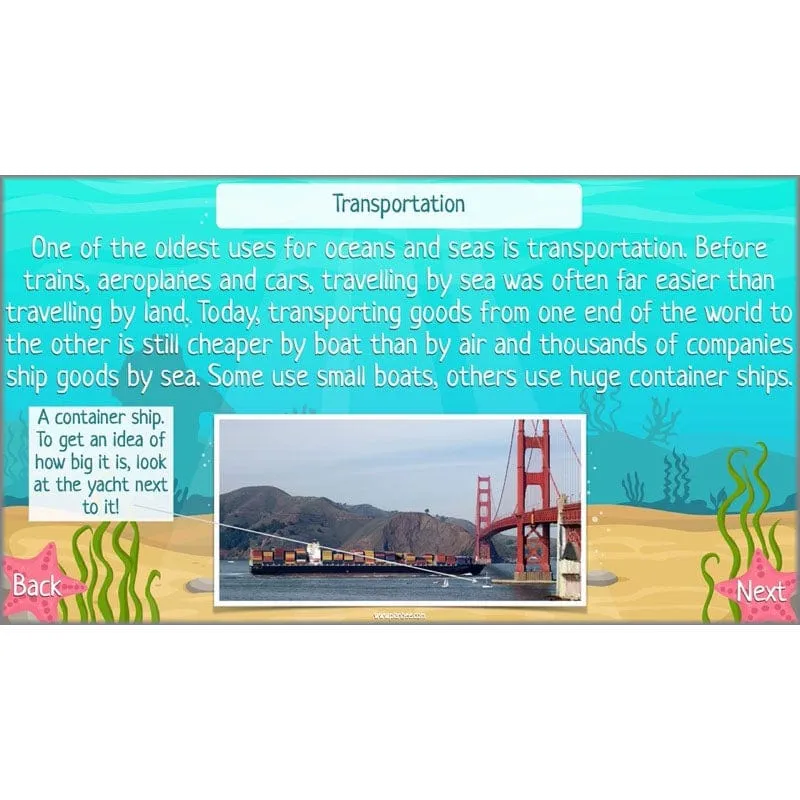 Under the Sea Topic