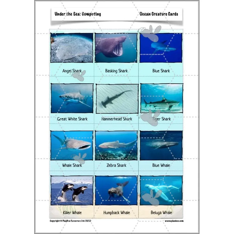 Under the Sea Topic