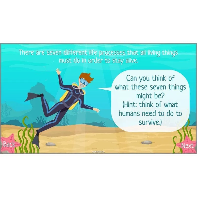 Under the Sea Topic