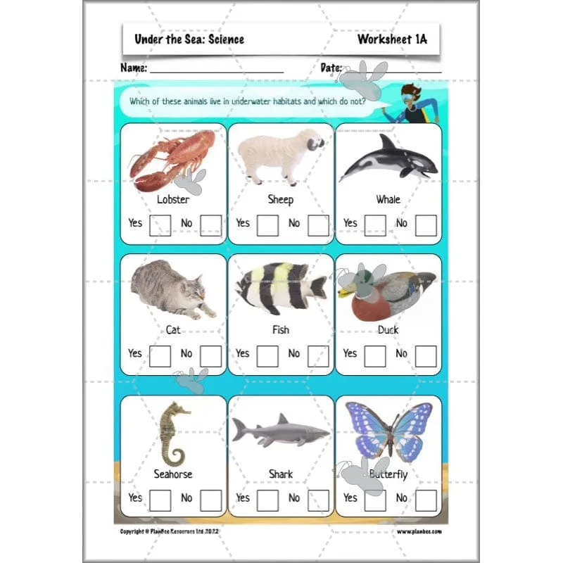 Under the Sea Topic