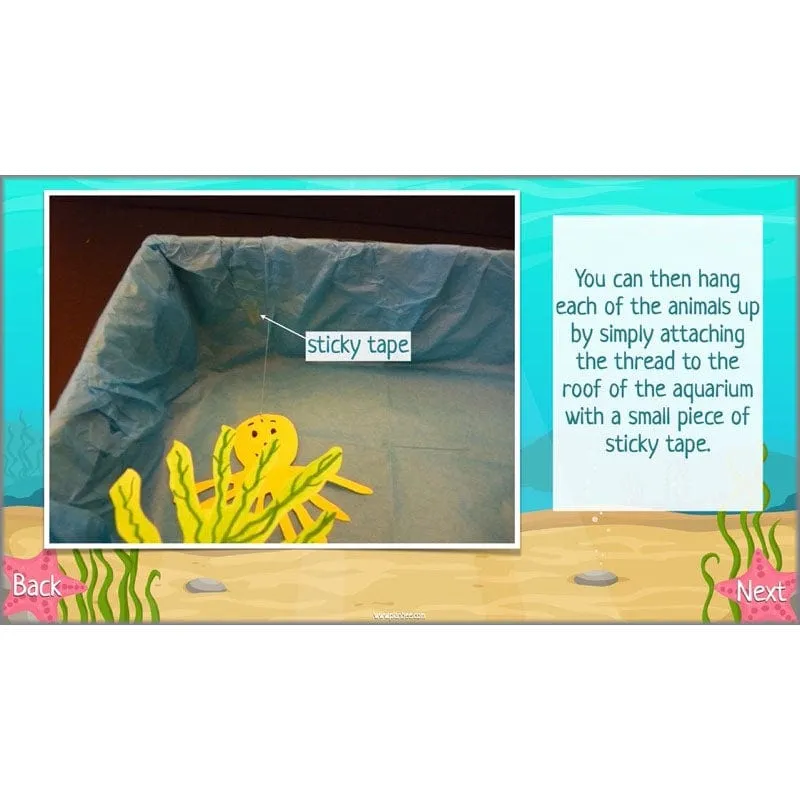 Under the Sea Topic