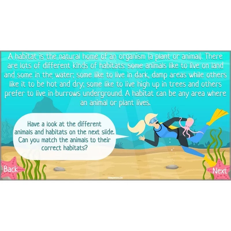 Under the Sea Topic