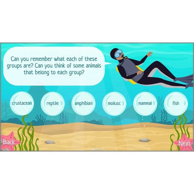 Under the Sea Topic