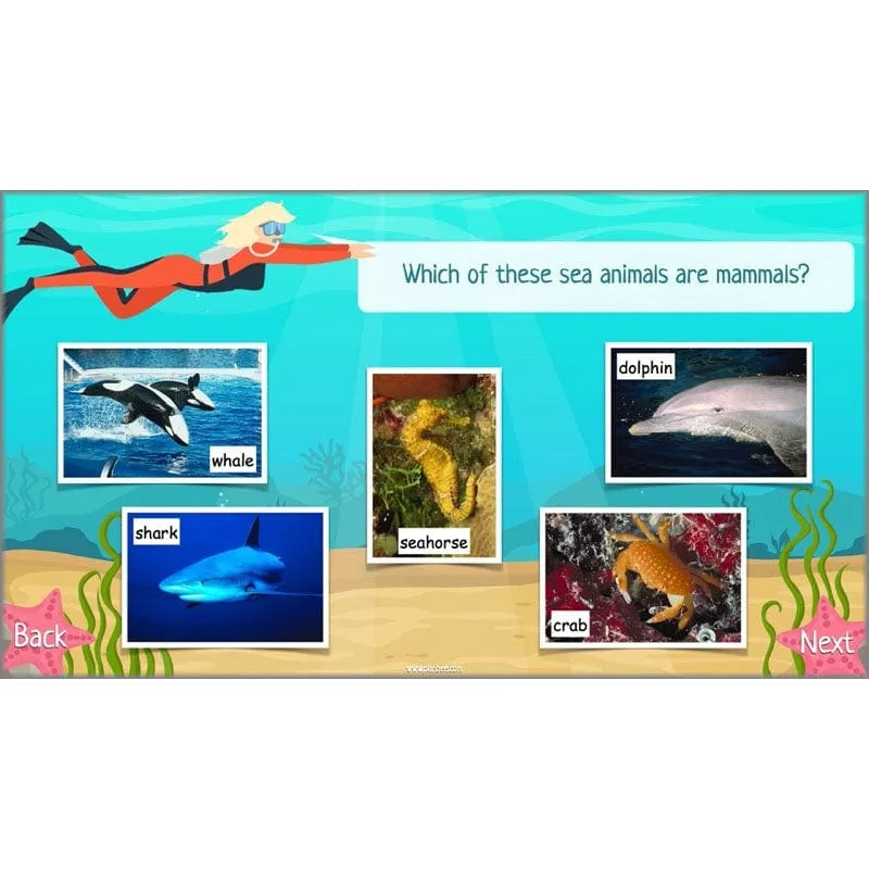 Under the Sea Topic