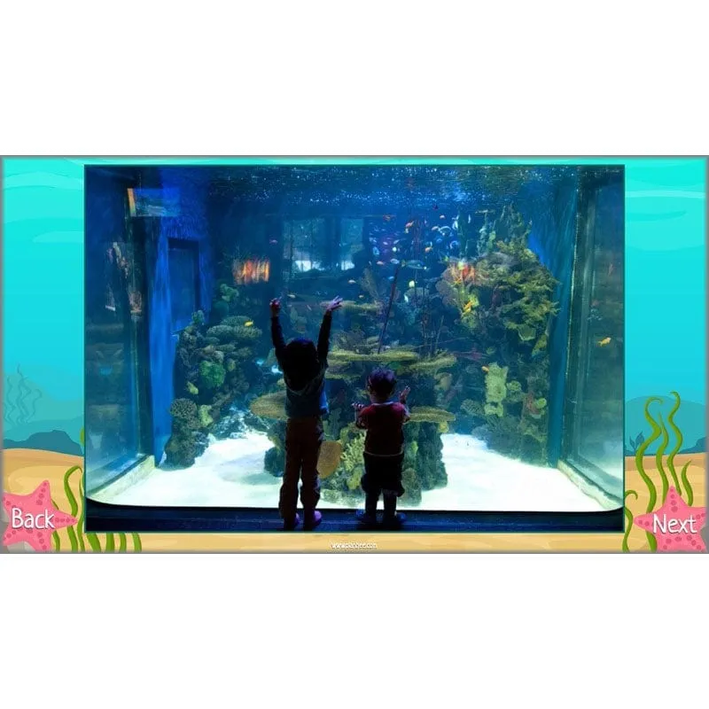 Under the Sea Topic