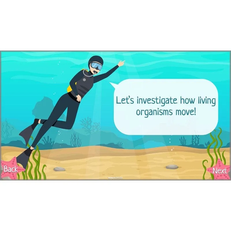 Under the Sea Topic
