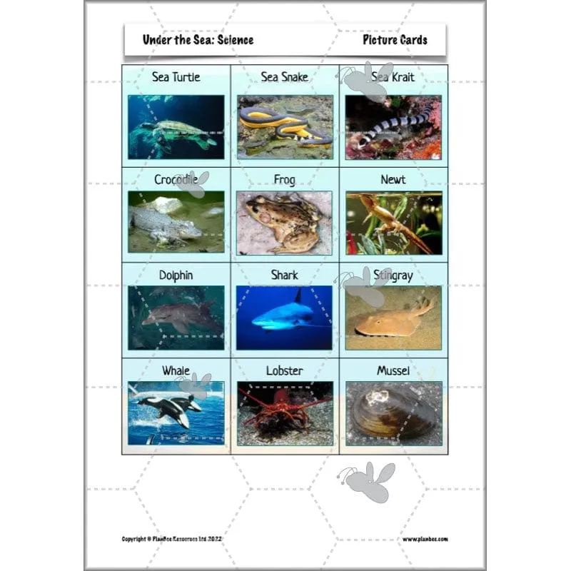 Under the Sea Topic
