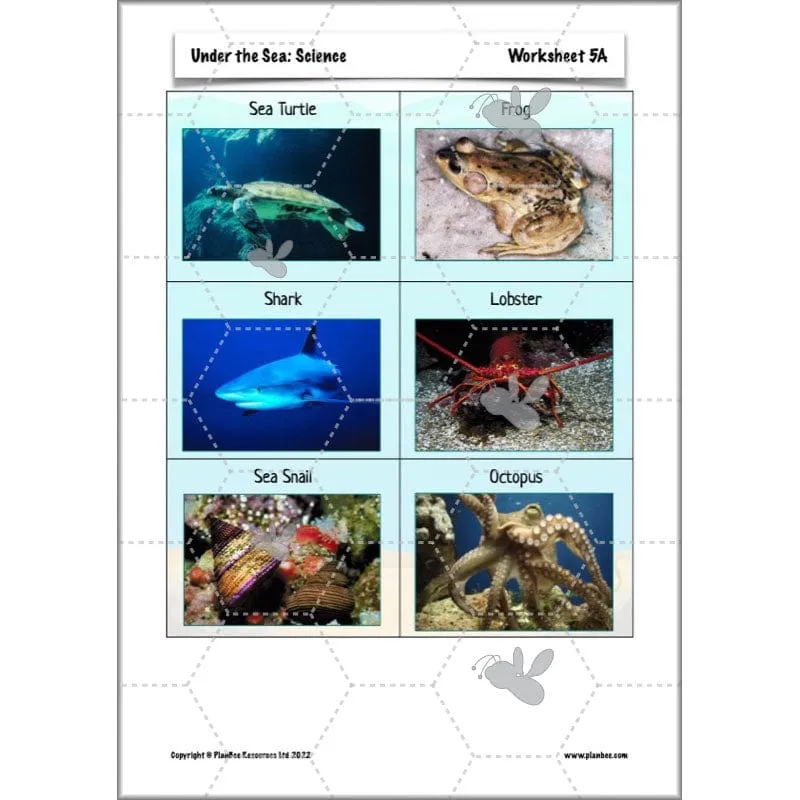 Under the Sea Topic