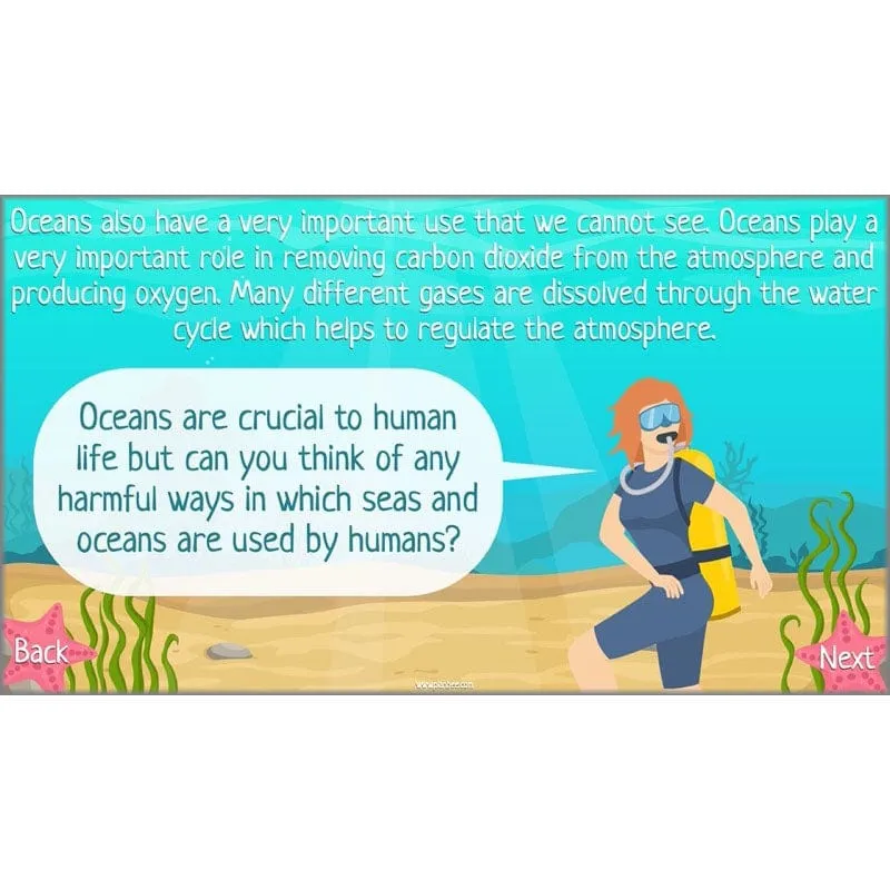 Under the Sea Topic